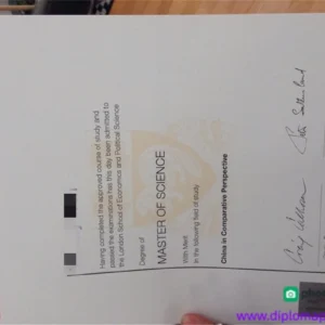 英国伦敦政治经济学院毕业证书London School of Economics and Political Science照片