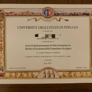 意大利佩鲁贾大学毕业证书Università degli Studi di PERUGIA照片