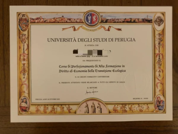 意大利佩鲁贾大学毕业证书Università degli Studi di PERUGIA照片