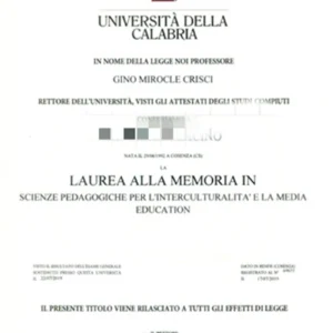 意大利卡拉布里亚大学毕业证书Università della CALABRIA照片