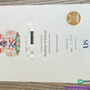 英国萨塞克斯大学毕业证书University of Sussex照片