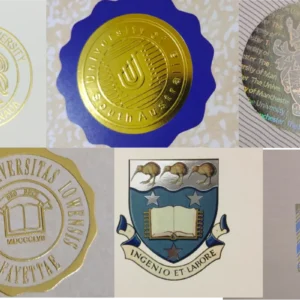 byzbl 美国文凭办理,美国学历认证,美国学位证书定制