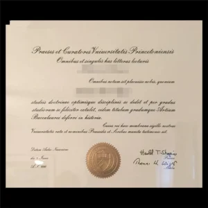 美国普林斯顿大学毕业证书Princeton University照片