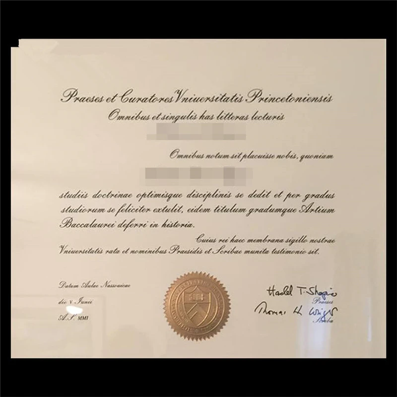 美国普林斯顿大学毕业证书Princeton University照片