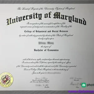 美国马里兰大学巴尔的摩郡分校毕业证书University of Maryland, Baltimore County照片