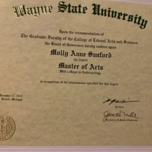 美国韦恩州立大学毕业证书Wayne State University照片