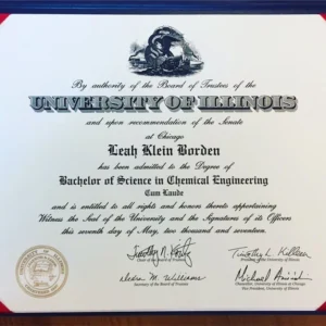 美国伊利诺伊大学芝加哥分校毕业证书University of Illinois at Chicago照片